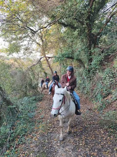 Passeggiata a cavallo sulle Colline Pisane