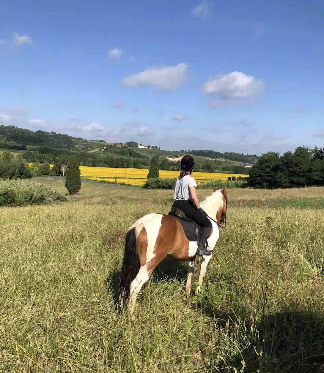 Passeggiata a cavallo sulle Colline Pisane