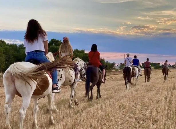 Passeggiata a cavallo a Taranto