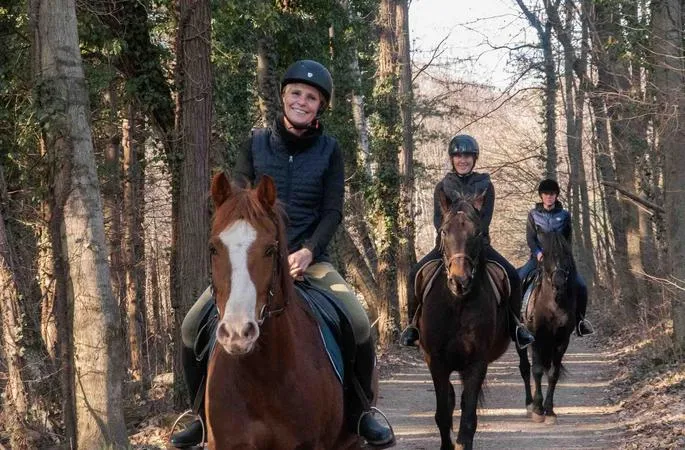 Passeggiata a cavallo tra boschi e vigneti a Borgomanero