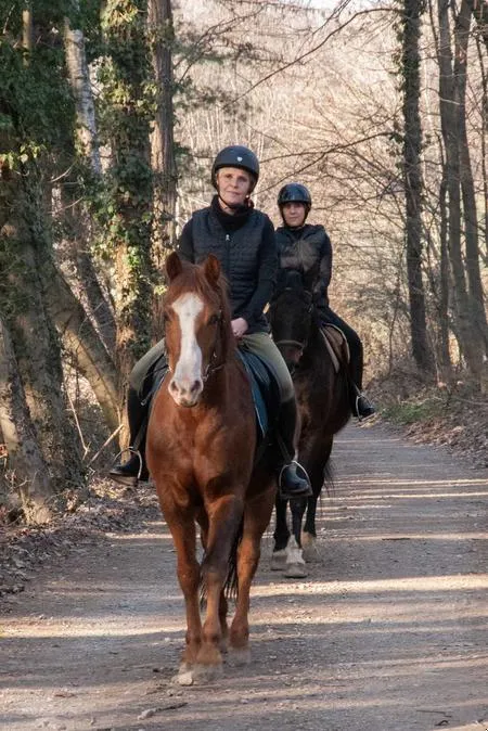 Passeggiata a cavallo tra boschi e vigneti a Borgomanero