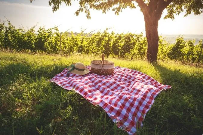 Picnic in vigna nell'Oltrepò Pavese