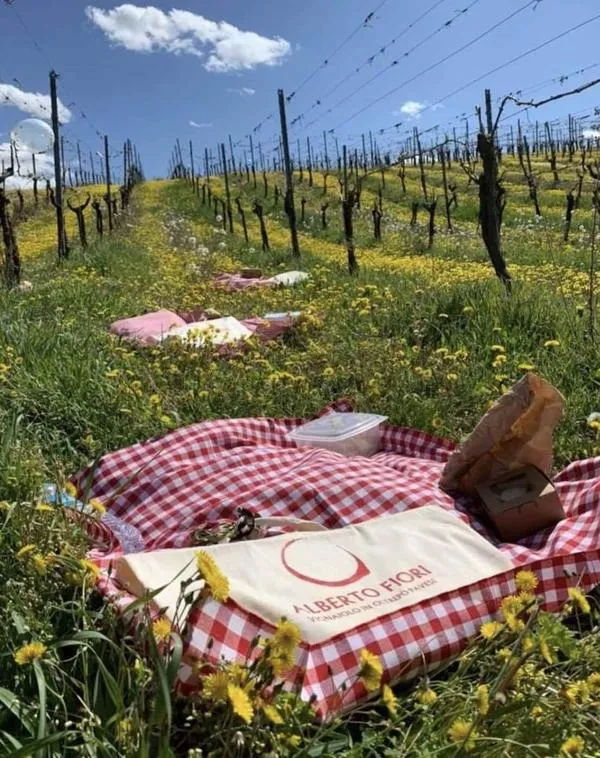 Picnic in vigna nell'Oltrepò Pavese