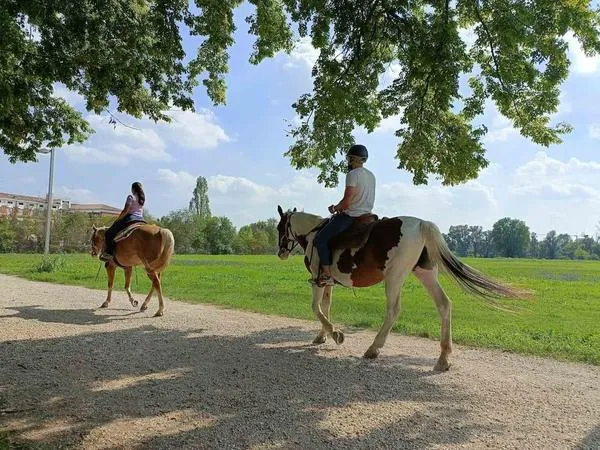Passeggiata a cavallo a Verona in campagna