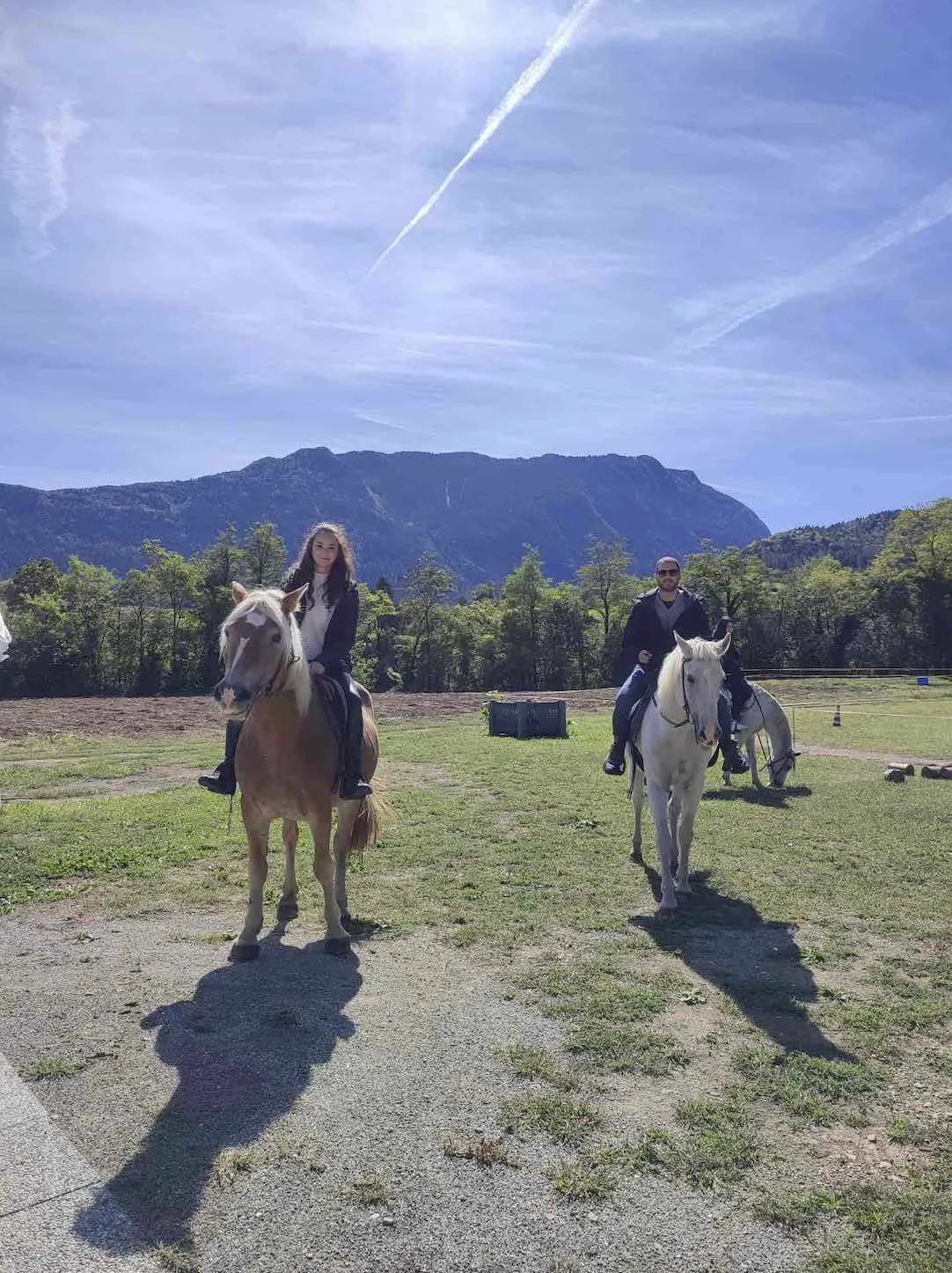 Passeggiata a cavallo nei boschi delle Giudicarie