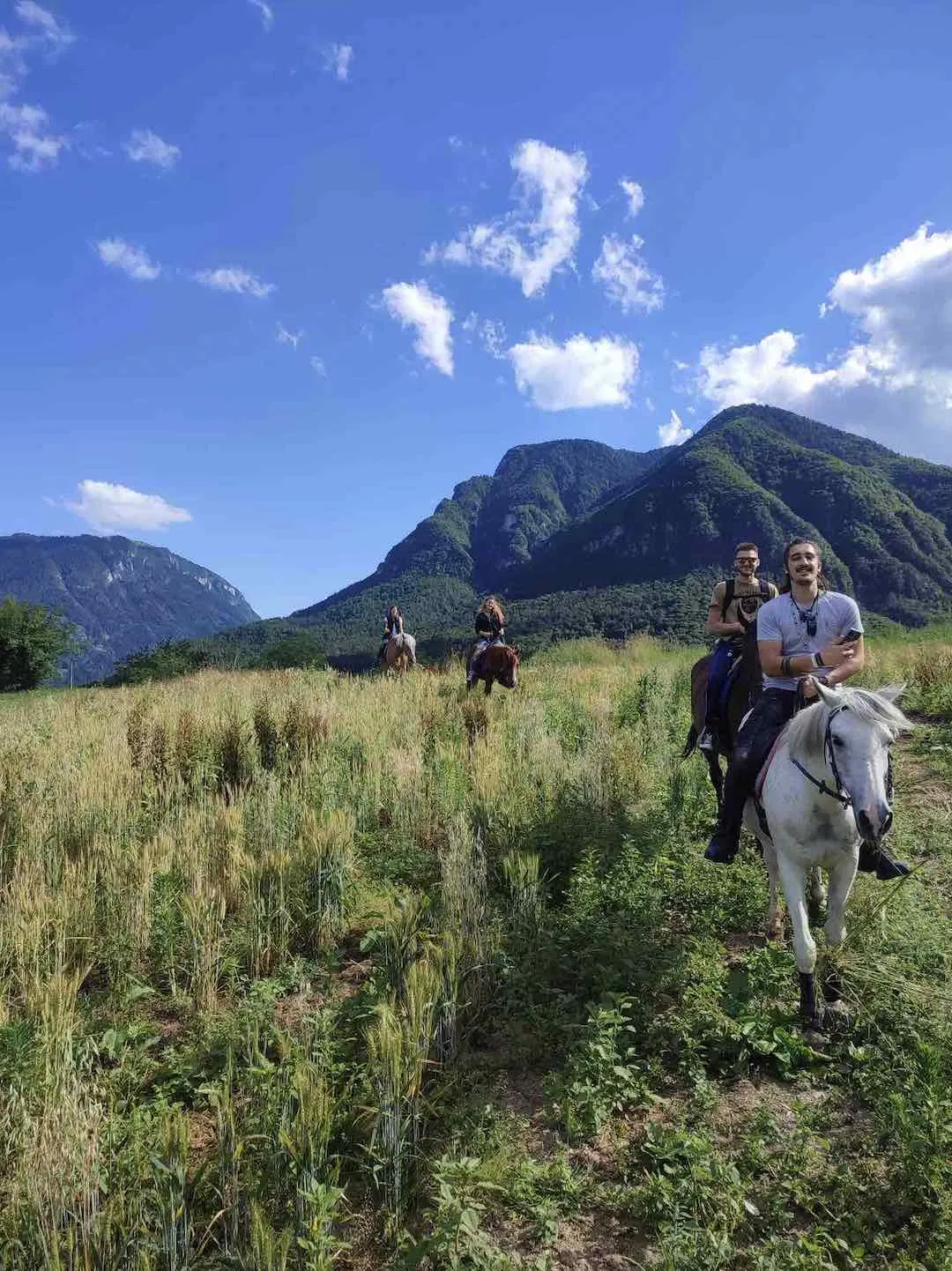 Passeggiata a cavallo nei boschi delle Giudicarie