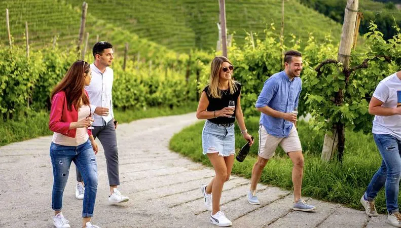 Degustazione vini sulle colline di Valdobbiadene