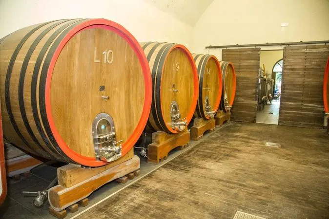 Degustazione e visita in cantina storica in Valcamonica