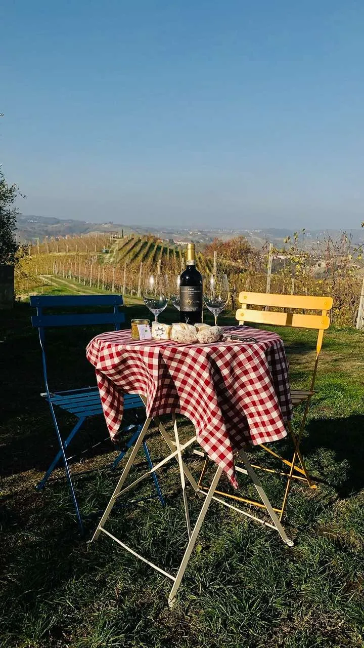Picnic nelle Langhe tra le vigne