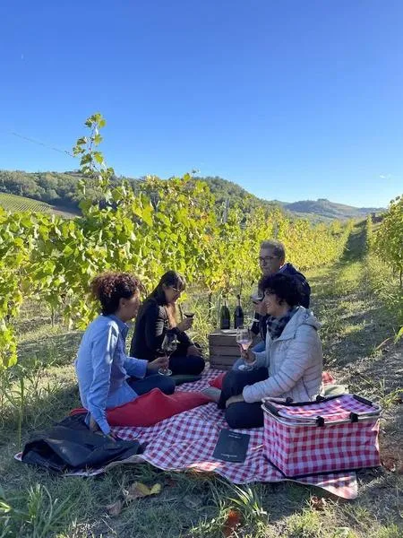 Picnic in vigna nell'Alto Monferrato