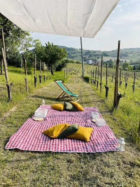 Picnic in vigna nell'Alto Monferrato
