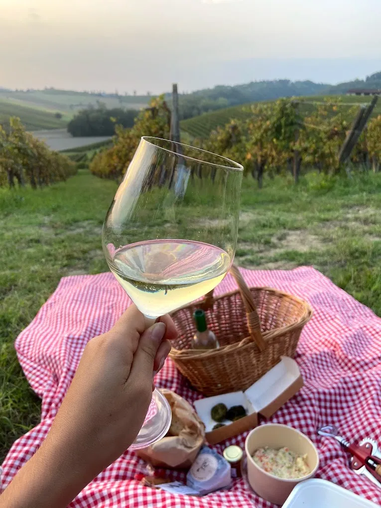 Picnic in vigna sulle colline di Cella Monte nel Monferrato