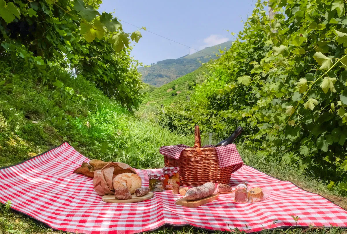 Picnic in vigna a Valdobbiadene