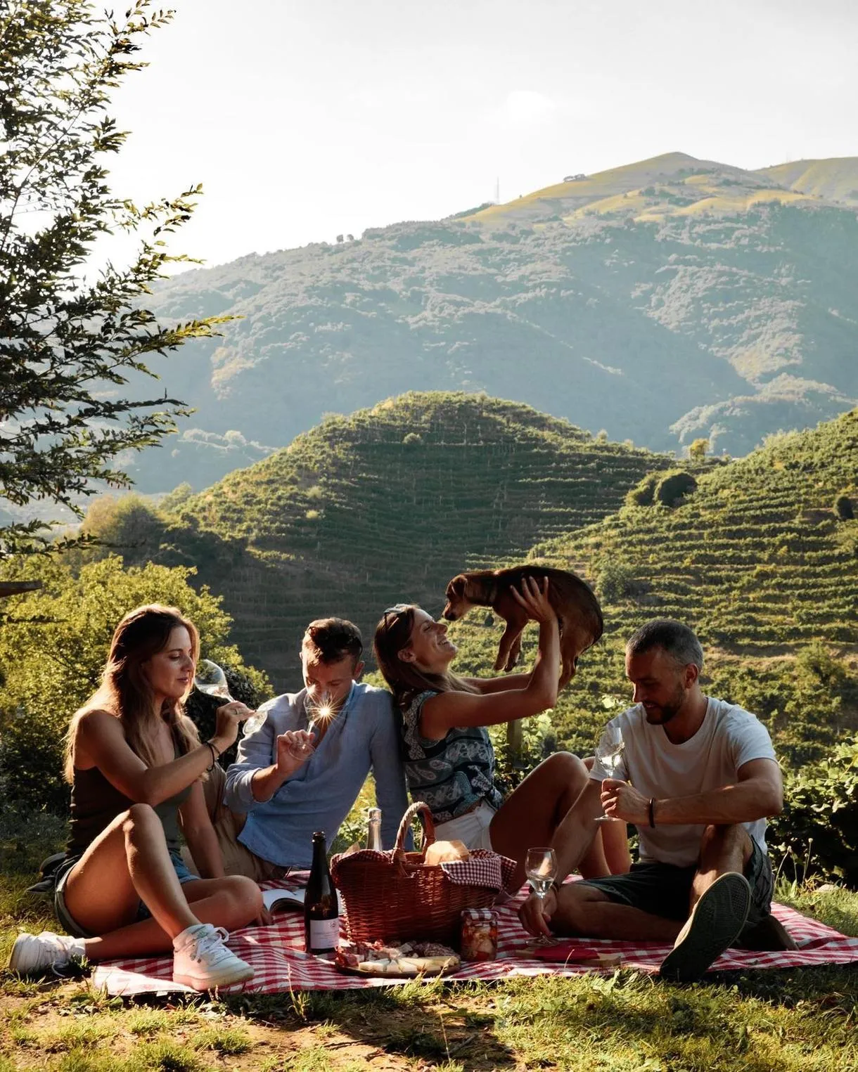 Picnic in vigna a Valdobbiadene