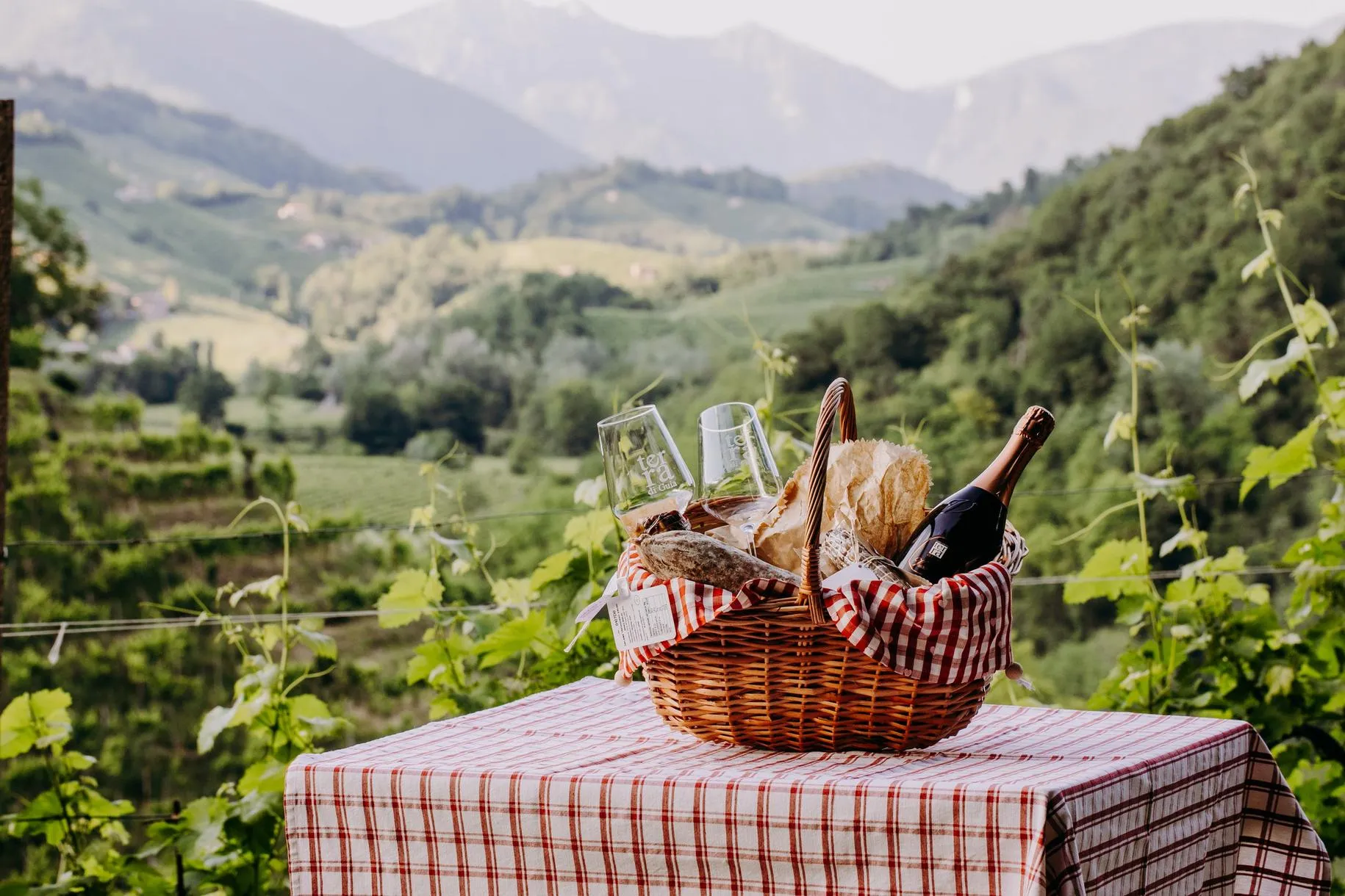 Picnic in vigna a Valdobbiadene