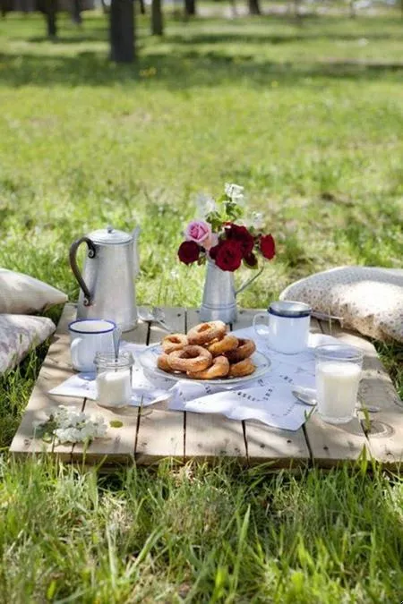 Picnic in Val di Chiana a Sinalunga