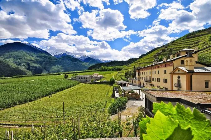 Degustazione e visita cantina in Valtellina