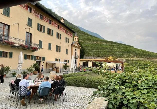 Degustazione e visita cantina in Valtellina