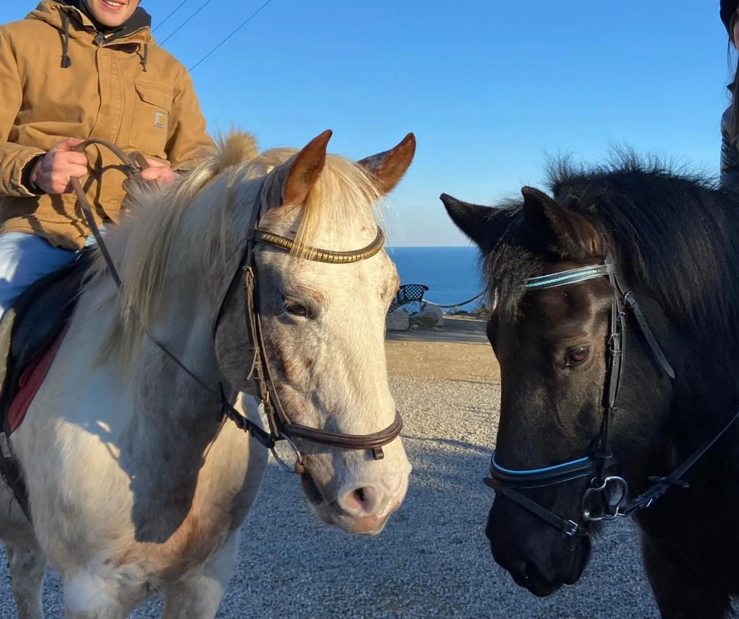 Passeggiata a cavallo vista mare a Pietra Ligure