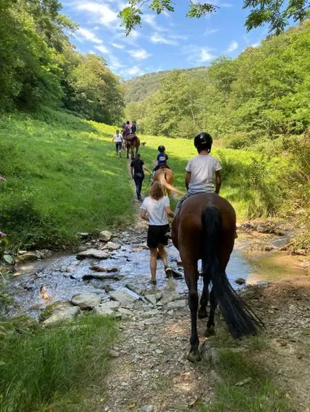 Passeggiata a cavallo al Lago d'Orta