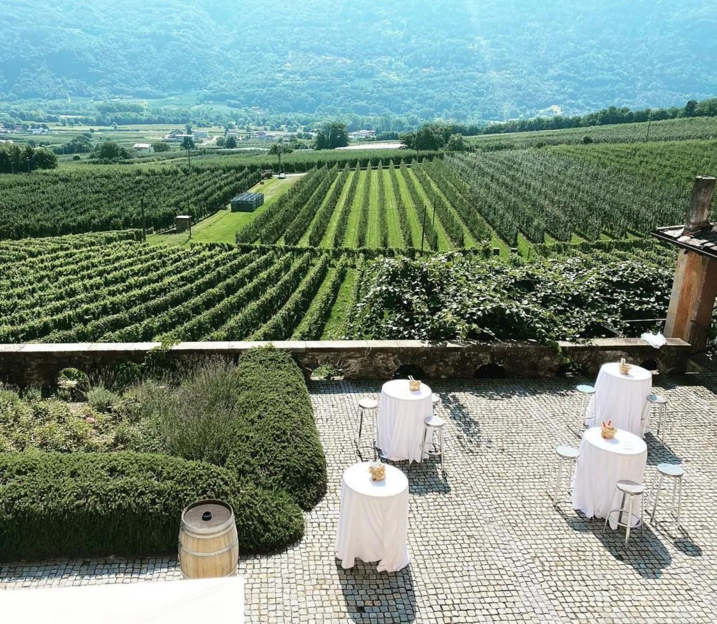 Picnic tipico in vigna in Valtellina