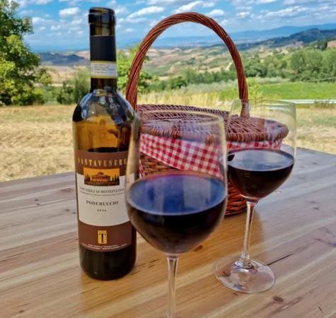 Picnic in vigna in Val d'Orcia a Montepulciano