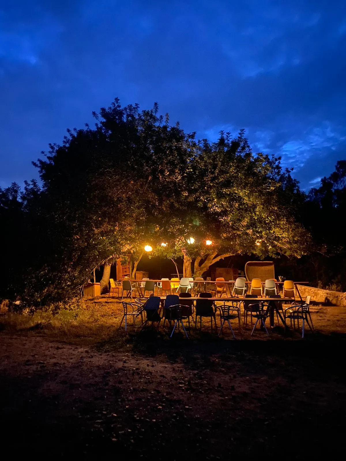 Picnic in vigna a Villasimius