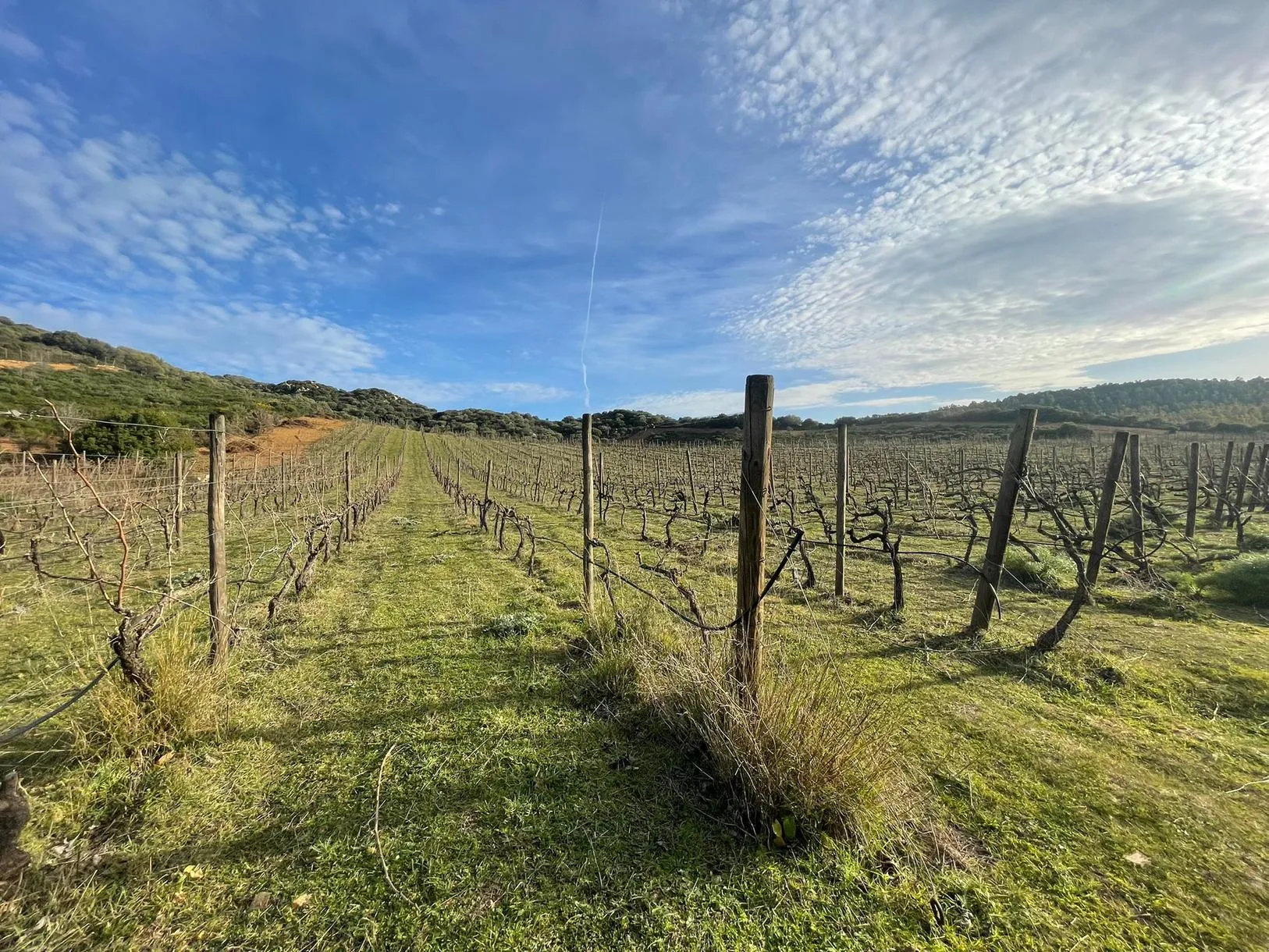 Picnic in vigna a Villasimius