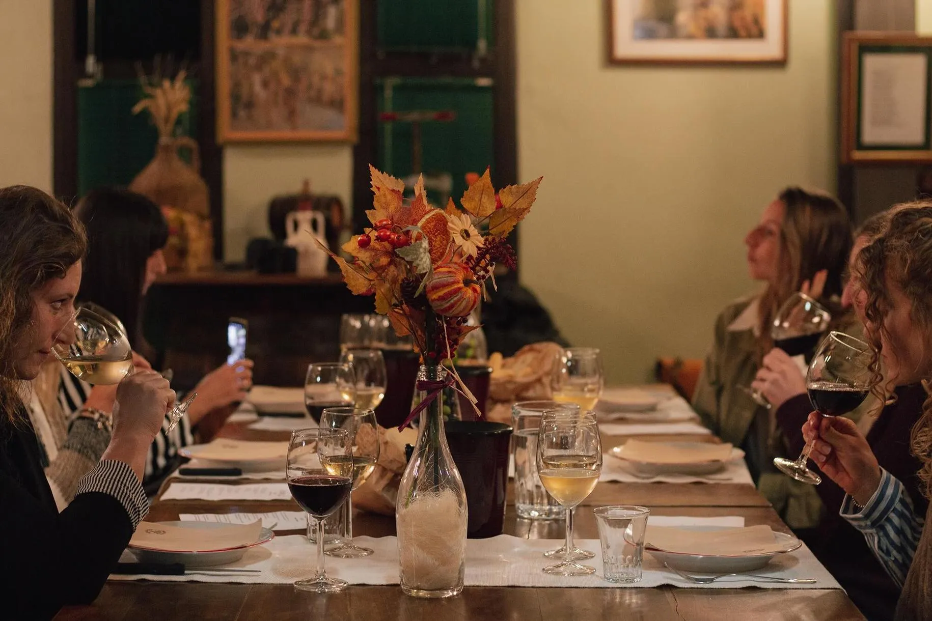 Degustazione vini sulle Colline Romagnole