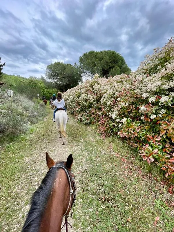 Passeggiata a cavallo nella campagna toscana fuori Firenze