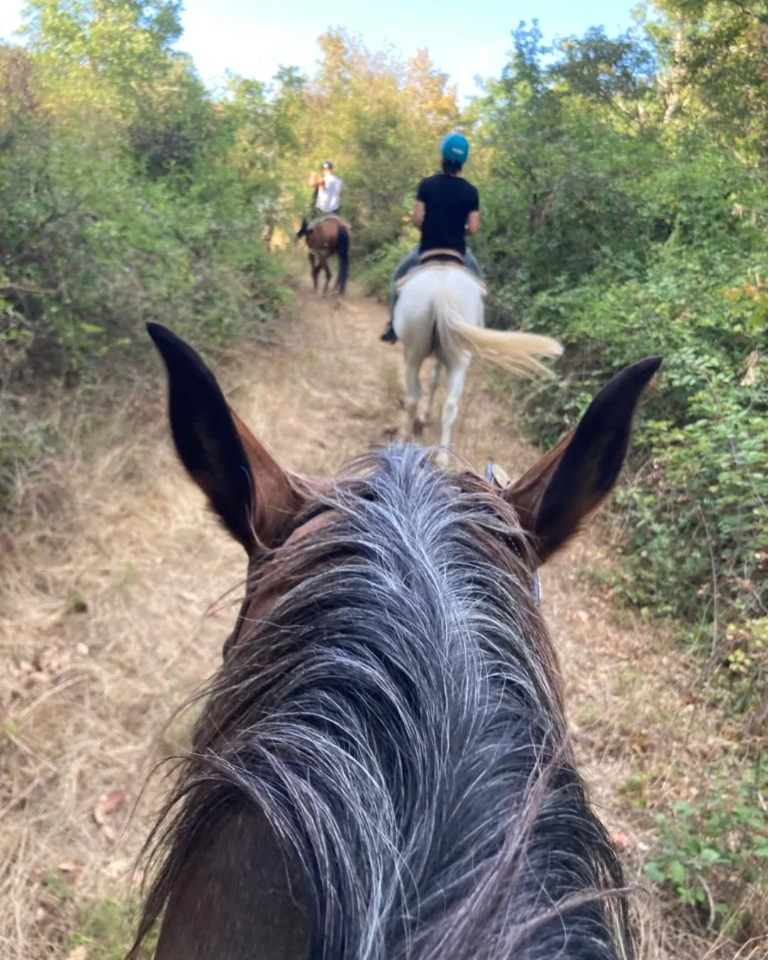 Passeggiata a cavallo nella campagna toscana fuori Firenze