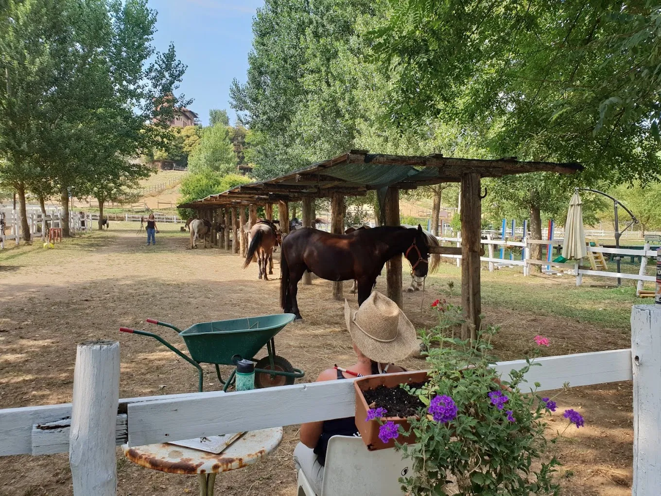 Passeggiata a cavallo nella campagna di Lucca