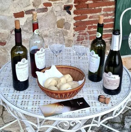 Degustazione vini nei Colli Berici tra Padova e Vicenza