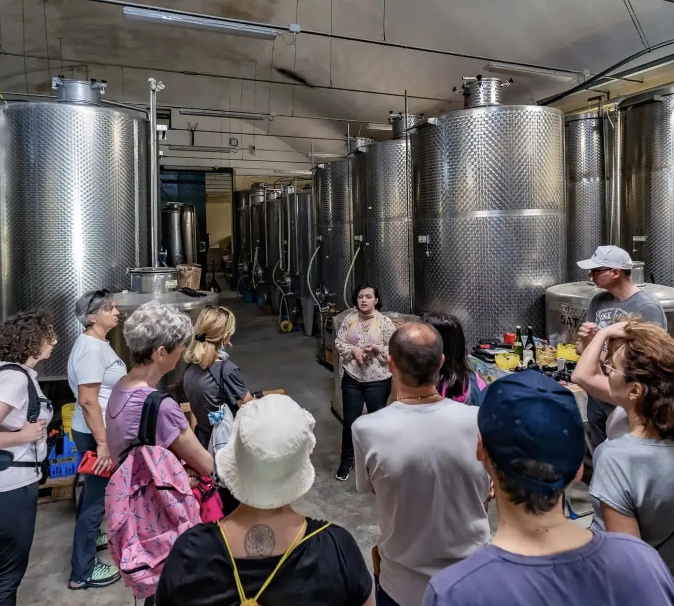 Degustazione vini nei Colli Berici tra Padova e Vicenza