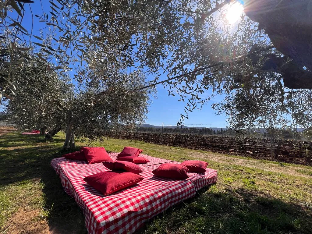 Picnic tra i vigneti di Bolgheri