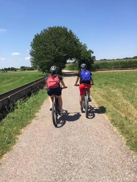 Giro in e-bike nel Parco del Mincio