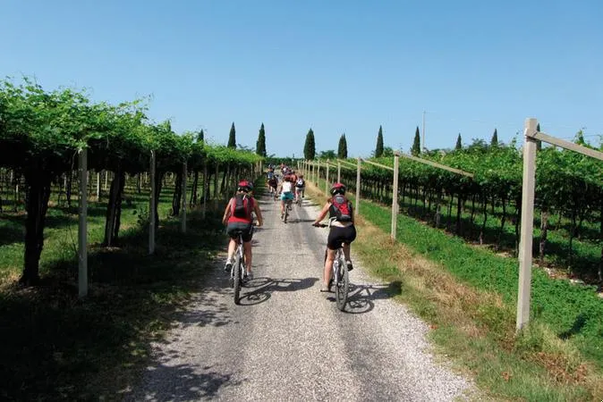 Giro in e-bike nel Parco del Mincio