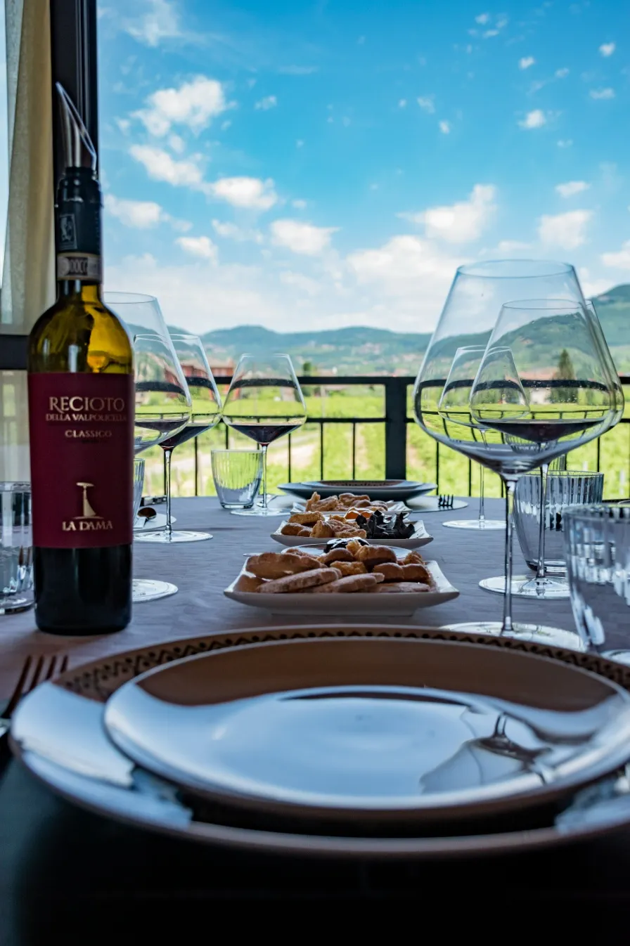 Passeggiata in vigna e degustazione nella Valpolicella