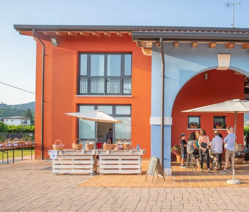 Passeggiata in vigna e degustazione nella Valpolicella