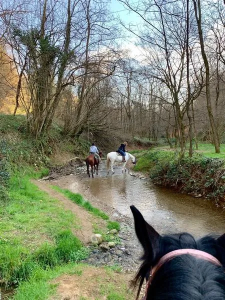 Passeggiata a cavallo sulle colline Brianzole
