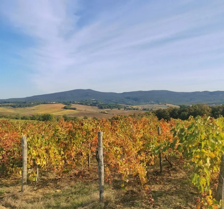 Degustazione vini a Colle Val d'Elsa