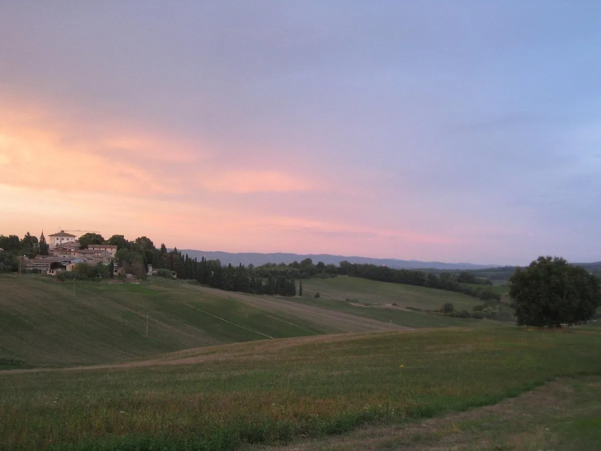 Picnic in vigna a Colle Val d'Elsa