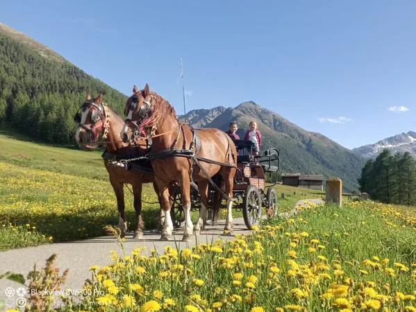 Giro a cavallo in carrozza a Livigno