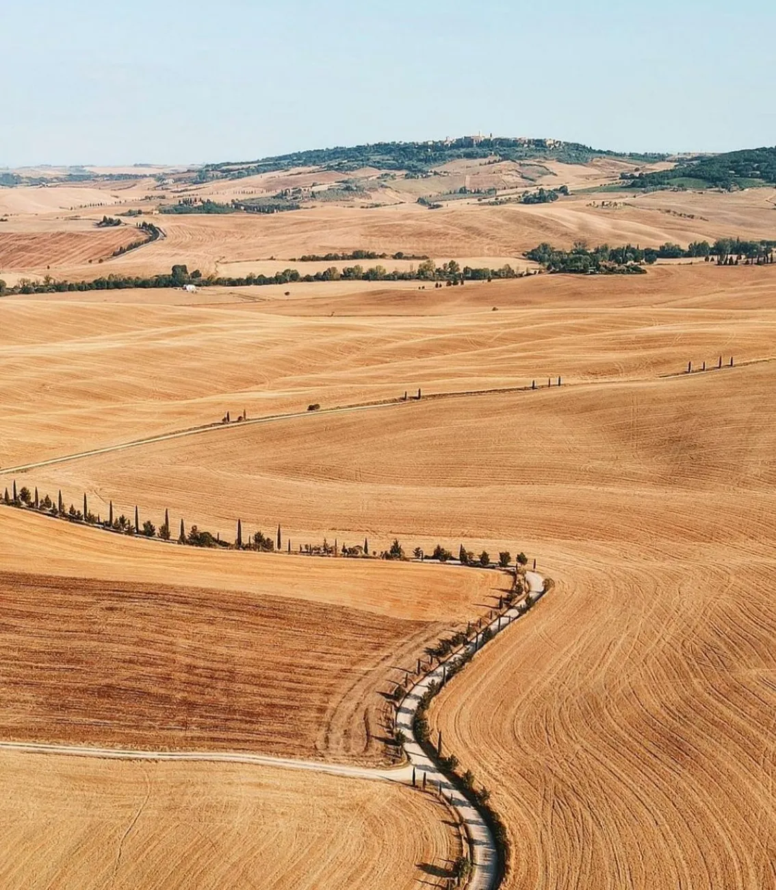 Giro in e-bike da Montalcino con degustazione di Brunello