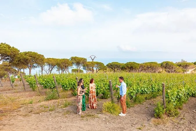 Degustazione vini e visita in cantina all'isola d'Elba
