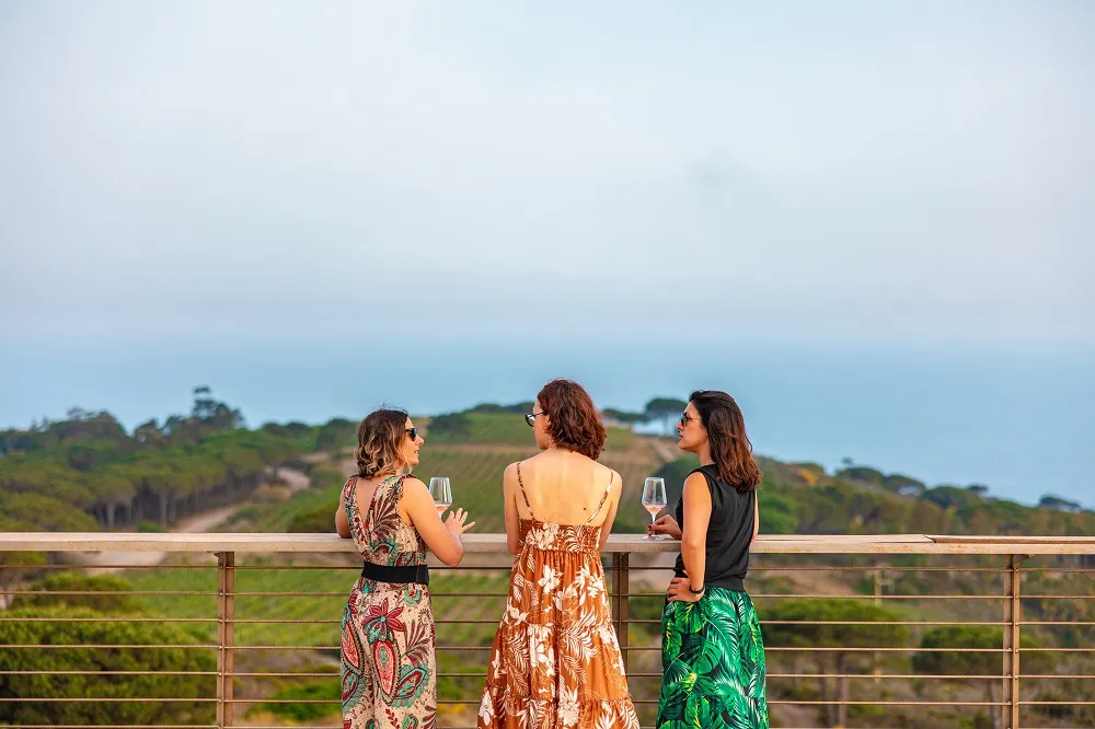 Degustazione vini e visita in cantina all'isola d'Elba