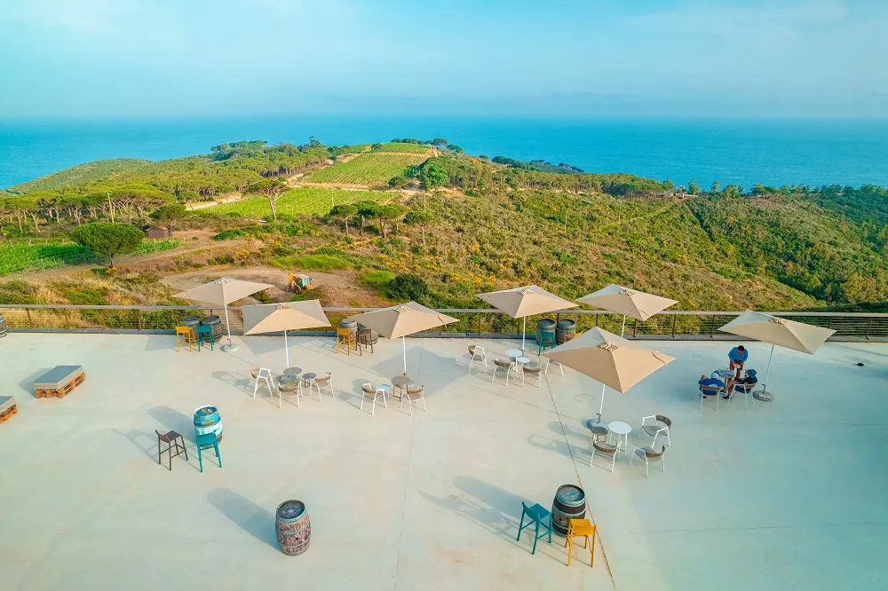 Degustazione vini e visita in cantina all'isola d'Elba