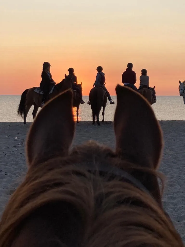 Passeggiata a cavallo al Conero da Numana