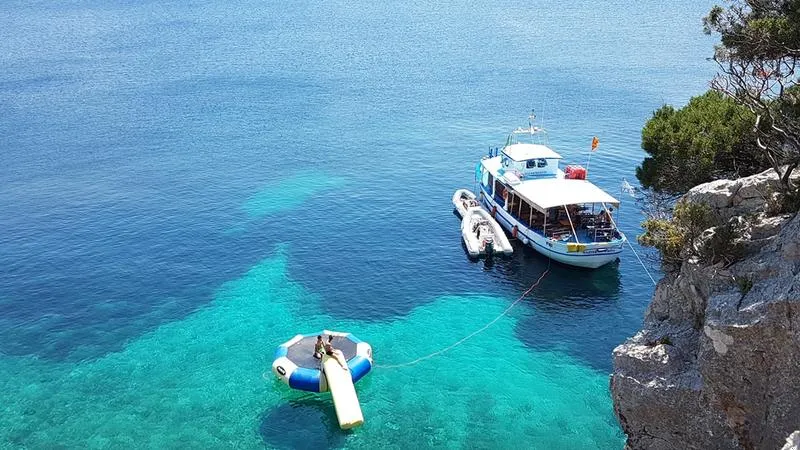 Aperitivo in barca con avvistamento delfini da Alghero
