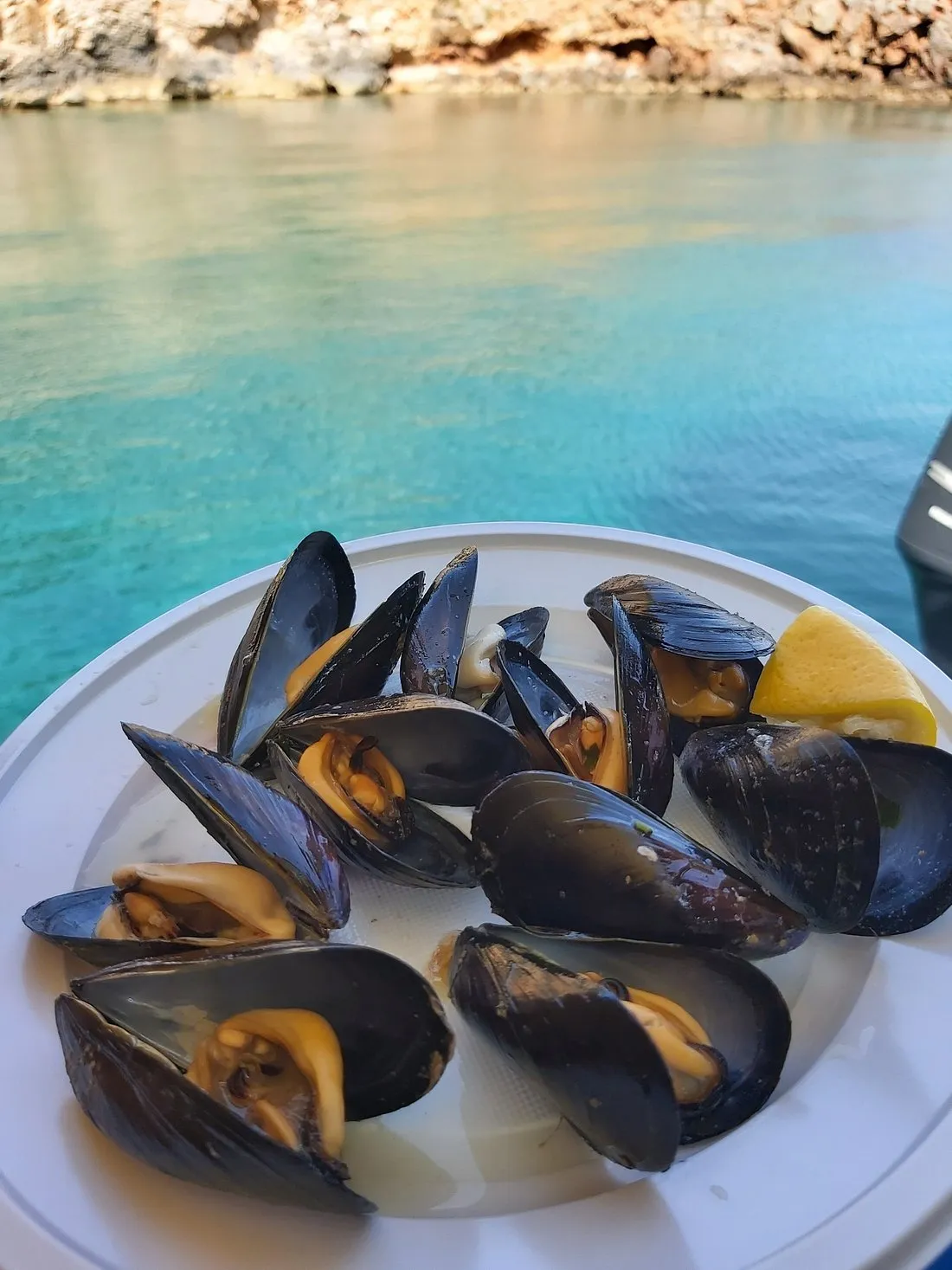 Aperitivo in barca con avvistamento delfini da Alghero